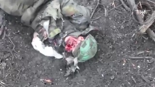 Fucking gore