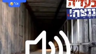 Intercepted Communication From The Humus Tunnels