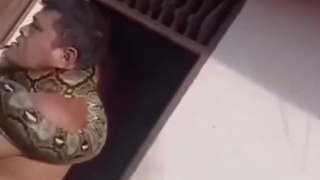 I hope the snake is ok