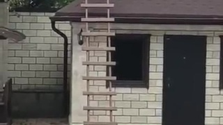 Oops