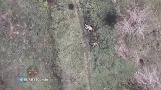 I bet those who survive, hear the drone sound in their nightmares