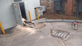 Unsuccessful Mexican Cable Thief