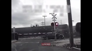 dumb bitch on the run