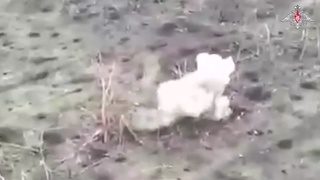 Russian Artillery vs Ukrainian NATO soldiers