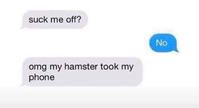 Bad Hamster
