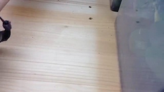 Scared of spiders? Try one with arms