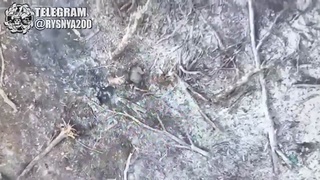 No more ice-skating for this Ivan