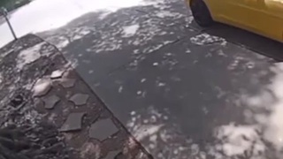 good doggy