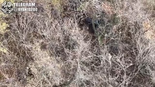 Storming rusian positions and the aftermath with the whole pile of dead commies