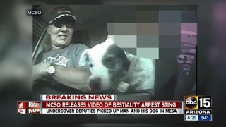 MCSO releases video of bestiality sting
