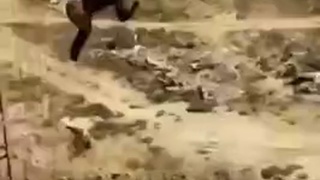 Man falls to his death fleeing police