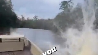 Shredder boat