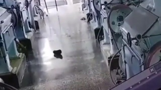 Man instantly sucked into machine and crushed within seconds