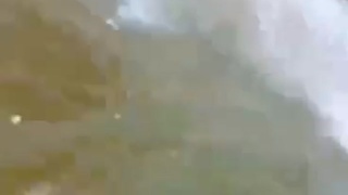 man died after his donkey fell into a river
