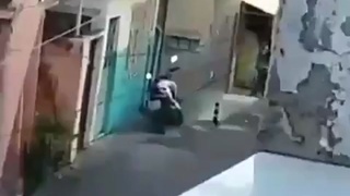 Fake or real?