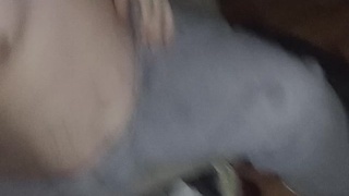 Can I pet that Dog