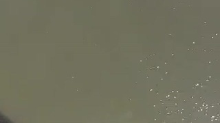 jump or no jump