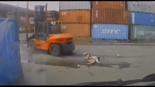 Forklift Accident