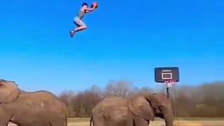 TEAMWORK