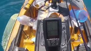 Shark Bites Twinkie Canoe
