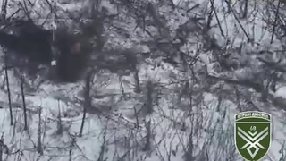A drone helps to save a wounded Ukrainian soldier