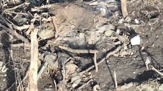 Slaughter of rusians in Ukraine in progress