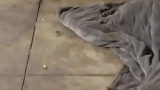 Rat&hellip;..