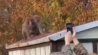 Don't film me, idiot
