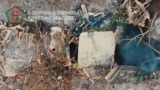 Complete destruction of rusian brigade near Bakhmut