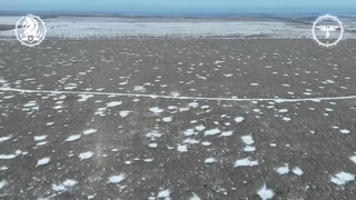 rusians near Avdiivka
