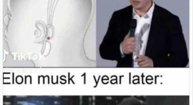 elon