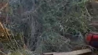 biker has his foot torn apart in accident