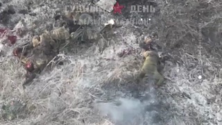 Brutal condition of Bijen Proxy Army