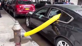 Just Showing My Hose Off