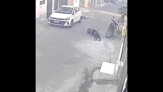 Two Men Fight-Both Die