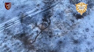 Heavy rusian losses near Novomykhailivka, Donetsk region