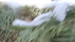 Eerie Sounds in Eastern Canada