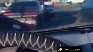 Drunk Driver Rams Police SUV