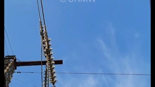 Dumb guy on electric pylon