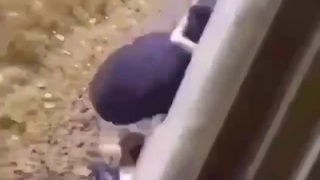 End of another Indian train idiot