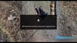 Gore footage of WAR