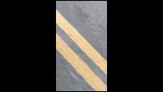 idiot fallen from horse