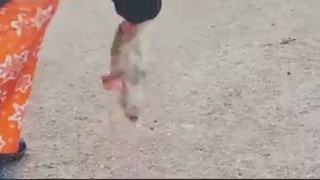 Climbing the food chain