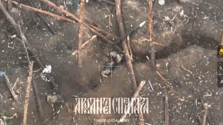 ukraine soldier desperation