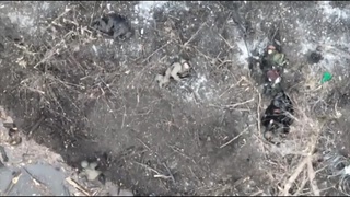 Elimination of commies near Bilohorivka, Luhansk
