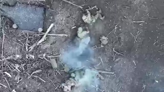 Spectacular Part2