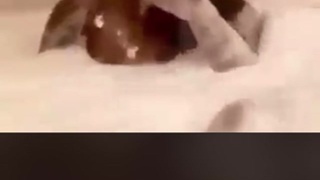 Back flip