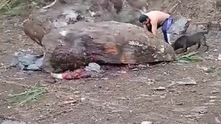 People crushed in landslide