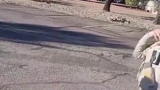 American police being an ass