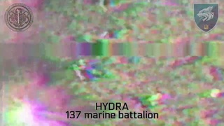 Heil hydra